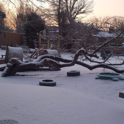 climbing tree in winter snow